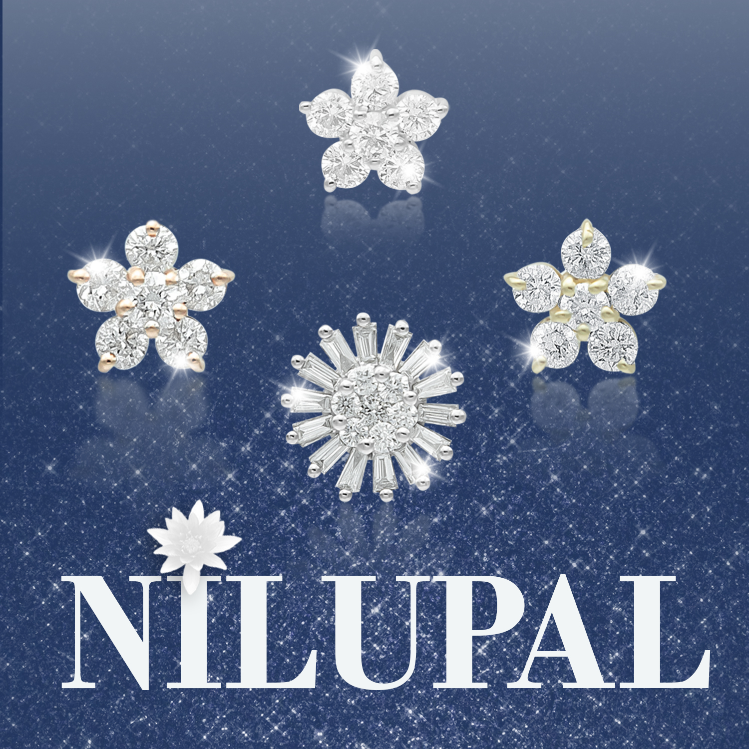 NİLUPAL KOLEKSİYONU